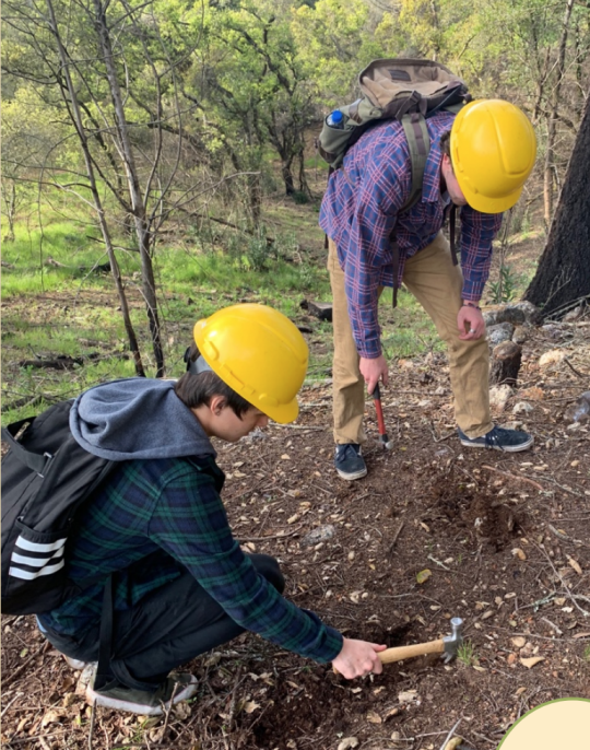 Students taking soil samples