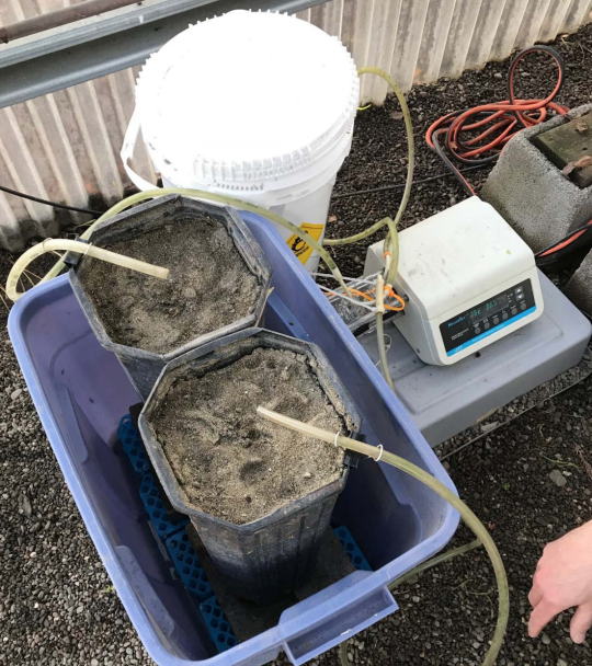 Waste treatment filters in a bucket