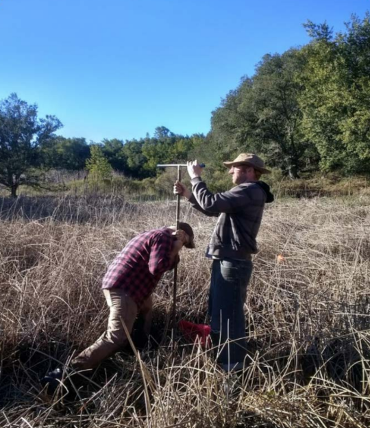 Students taking soil samples