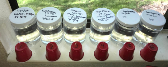 Glass bottles containing water samples