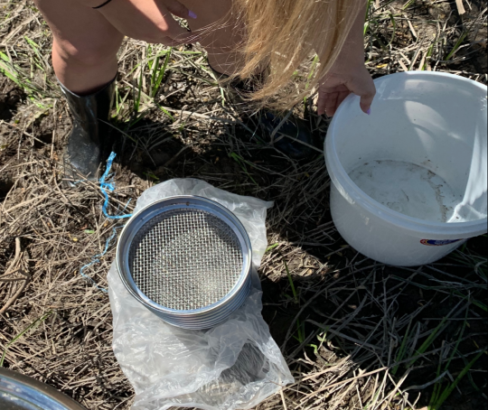 Student with sieve and bucket