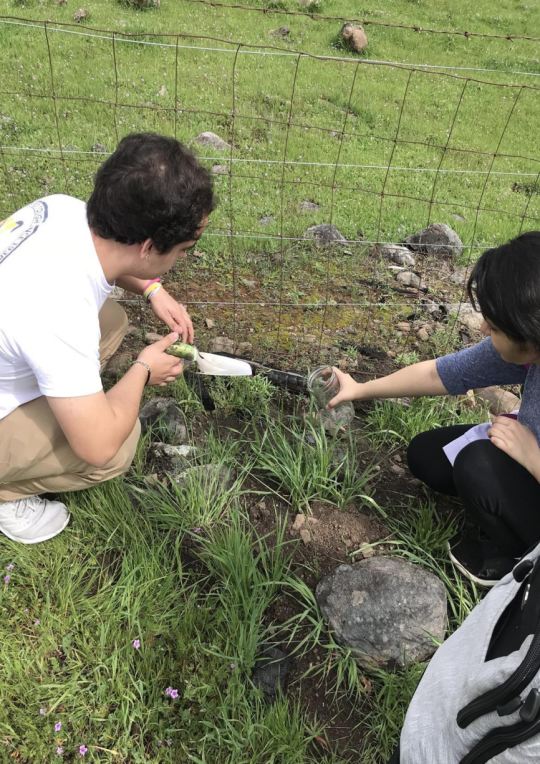 Students collecting soil samples