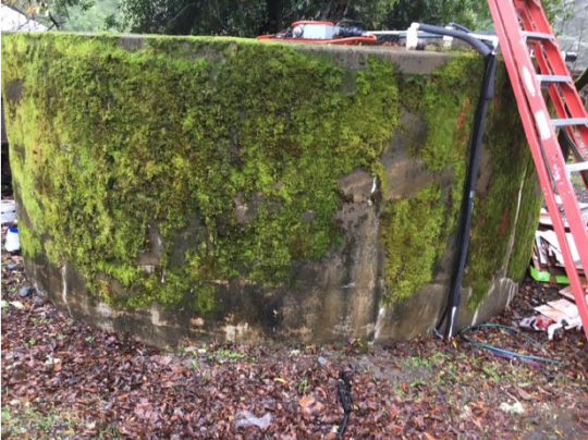 Moss-covered water tank