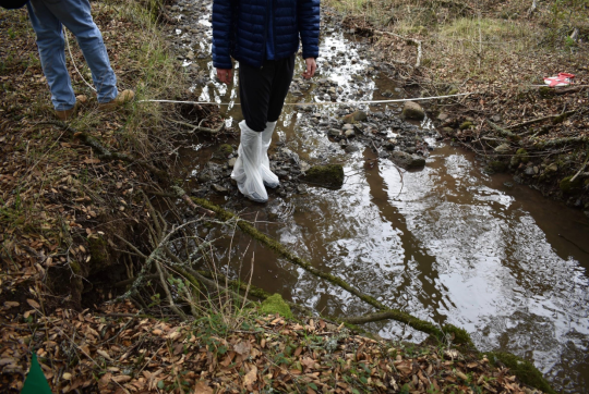 Students working on a transect line laid across a small stream