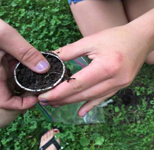 Student collecting soil sample
