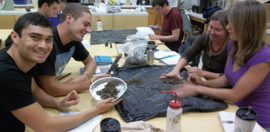 Students analyzing soil samples in a laboratory