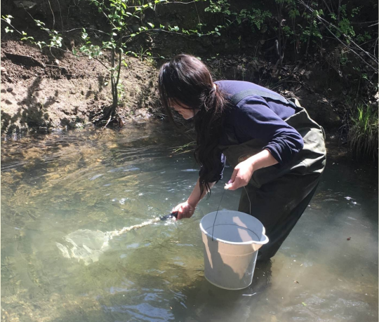 student standing in a pond with a net and bucket