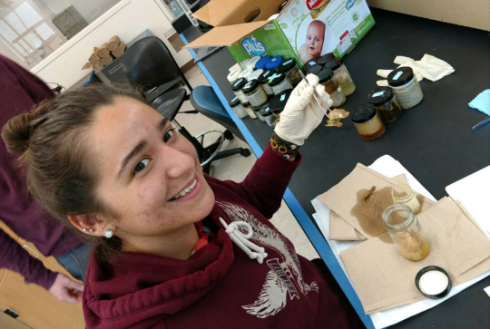 Student at lab bench identifying stomach contents