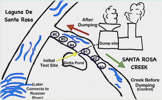 Diagram of water flow in Santa Rosa Creek and the Laguna de Santa Rosa