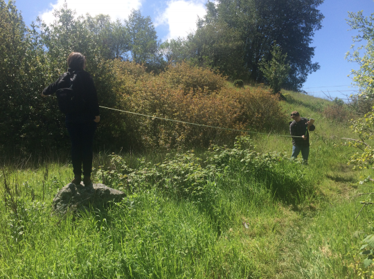 Two students assess blackberry along a transect line 