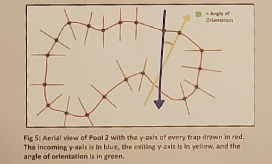 diagram of pool indicating traps