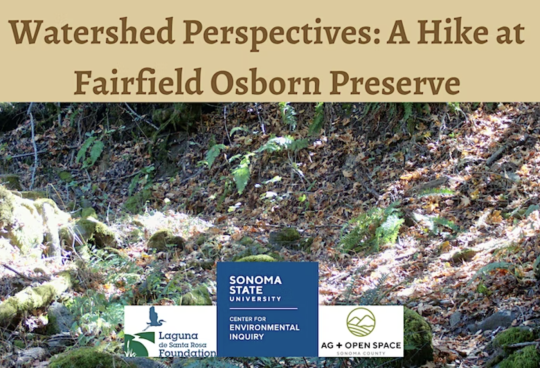 ferns outside with event banner and logos