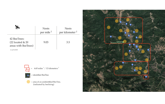 chart and map of bee sites at Galbreath Preserve