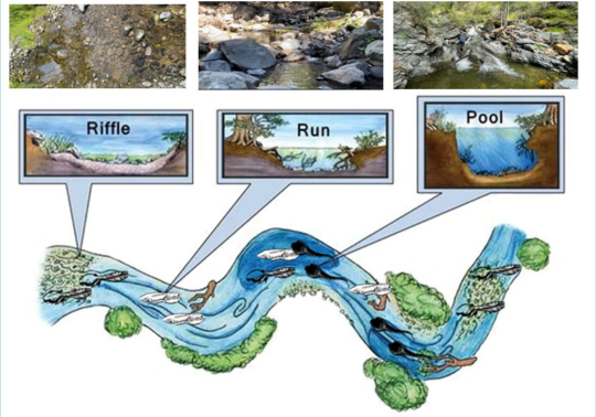 diagram of riffle, run and pool