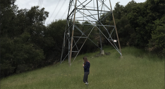 student with clipboard in meadow under powerlines
