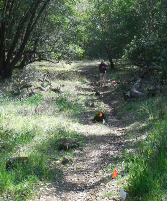 Student collecting data along a hiking trail