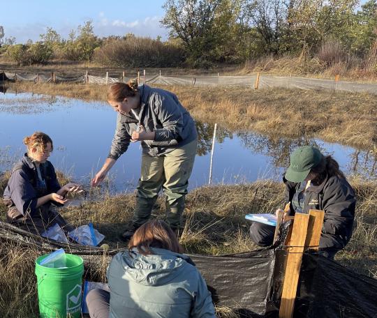 Researchers at water’s edge