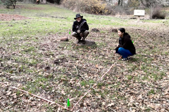 people kneel next to research plot