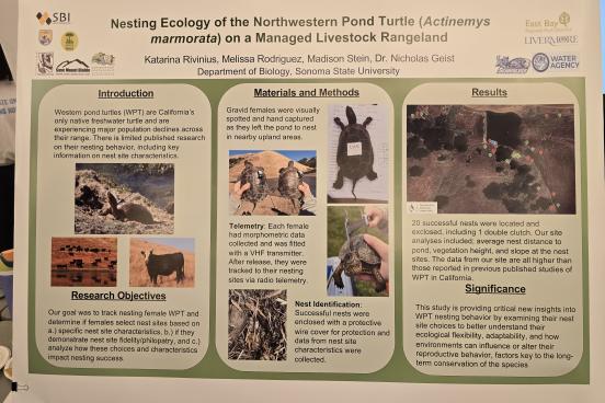 Abstract Western Pond Turtles (WPT) are California's only freshwater turtle and are experiencing major population declines across their range. There is a limited published research on their resting behavior, including key information on their nest site characteristics. 