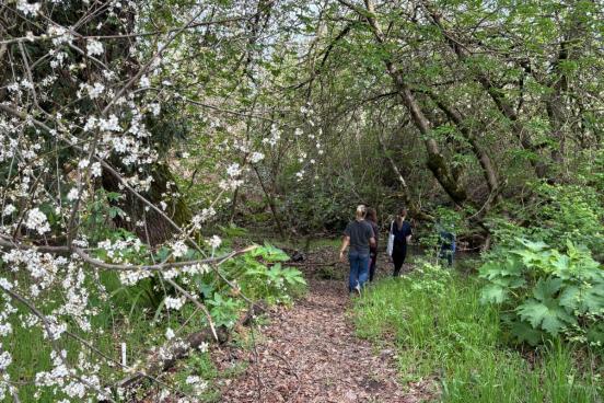SSU Native Plant Garden