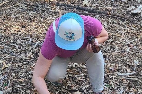 Person searching on ground
