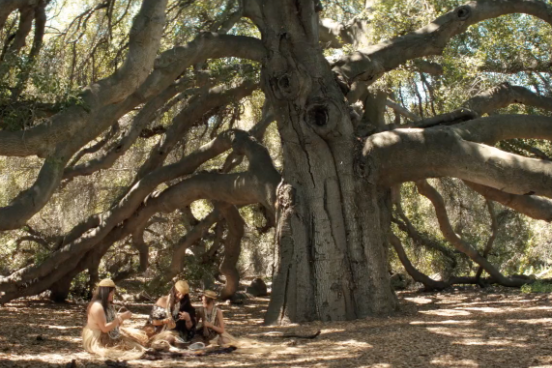 screenshot from film of people under an oak tree