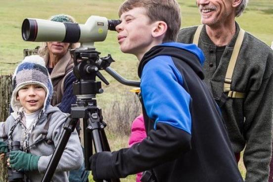 Junior Bird Count