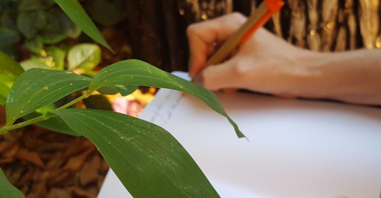 person writing in journal near plant