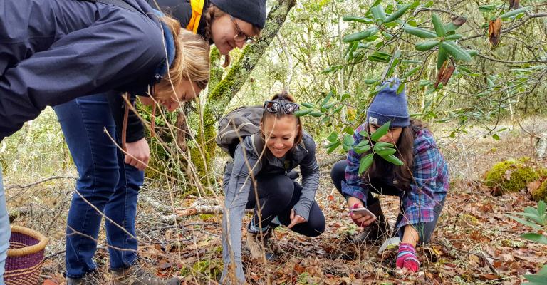 Mycology Blitz in 2017