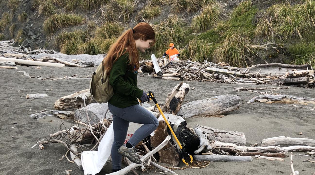 Researcher walking among driftwood