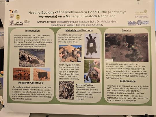 Nesting Ecology of the Northwestern Pond Turtle on a Managed Livestock Rangeland