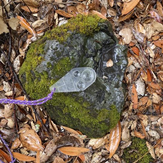 "Vesicles", small holes left behind after lava cools, on a rock at Osborn