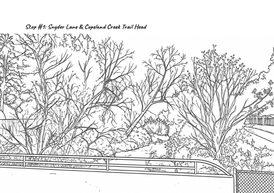 P. 1 of coloring book about Copeland Creek