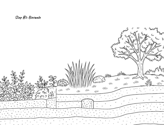 P. 5 of coloring book about Copeland Creek