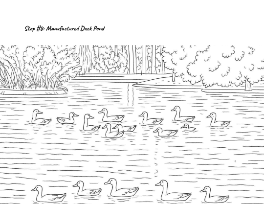 P. 8 of coloring book about Copeland Creek