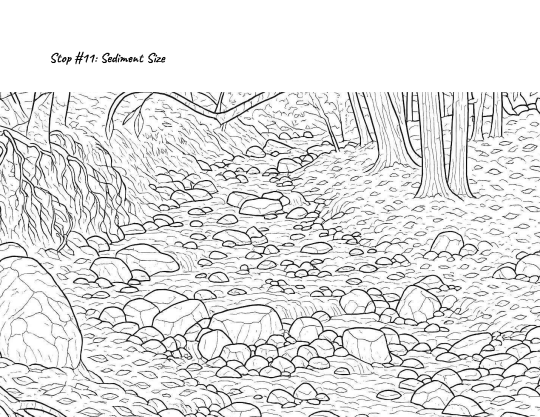 P. 11 of coloring book about Copeland Creek