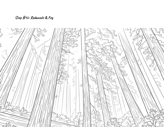 P. 12 of coloring book about Copeland Creek