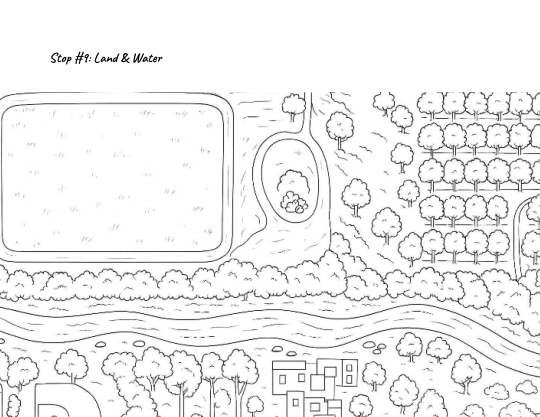P. 9 of coloring book about Copeland Creek