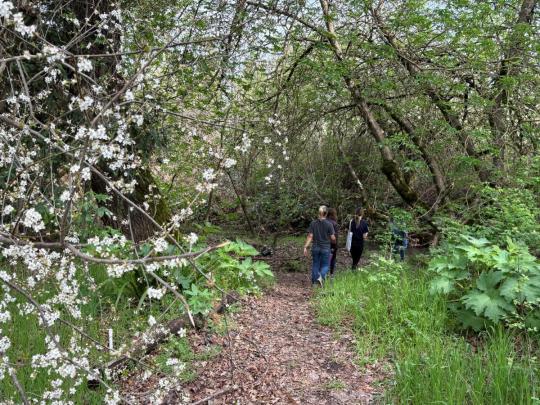 SSU Native Plant Garden