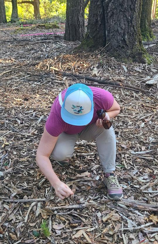 Person searching on ground