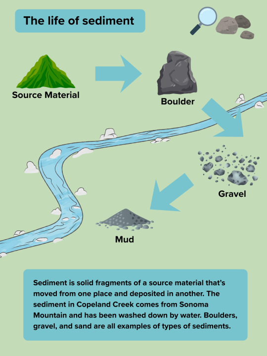 Sediment