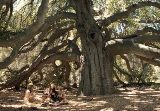 screenshot from film of people under an oak tree