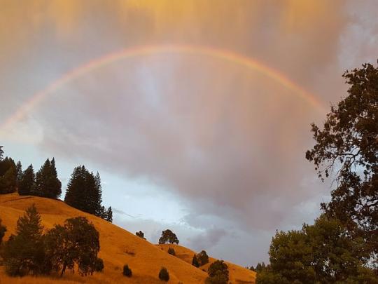 rainbow over grassy hills