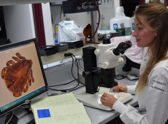 Woman in research lab looking at tick on computer screen