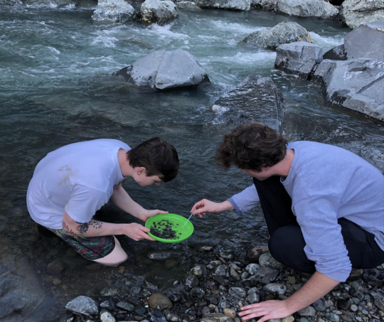 Students collecting insects in Pieta Creek
